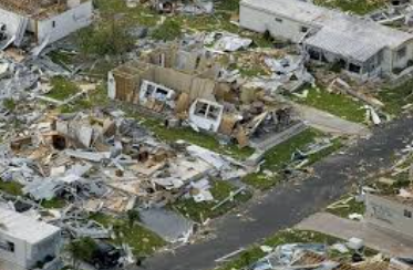 Government & Municipal Cleanout