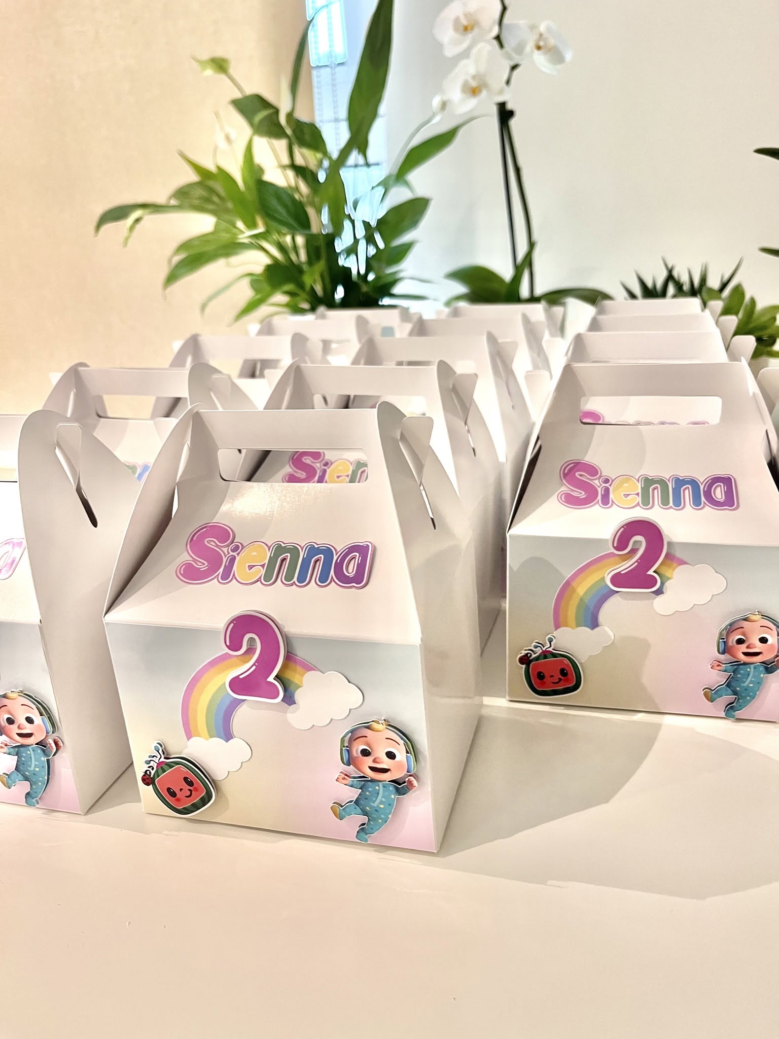 Cocomelon-themed gable boxes for Sienna's 2nd birthday.