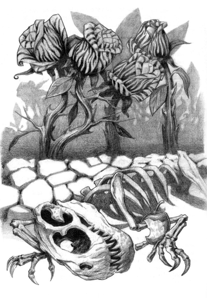 Flora & Remains