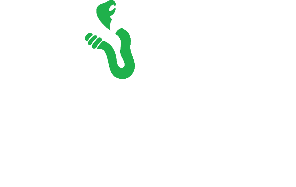 Águila y Serpiente — Símbolo Nacional