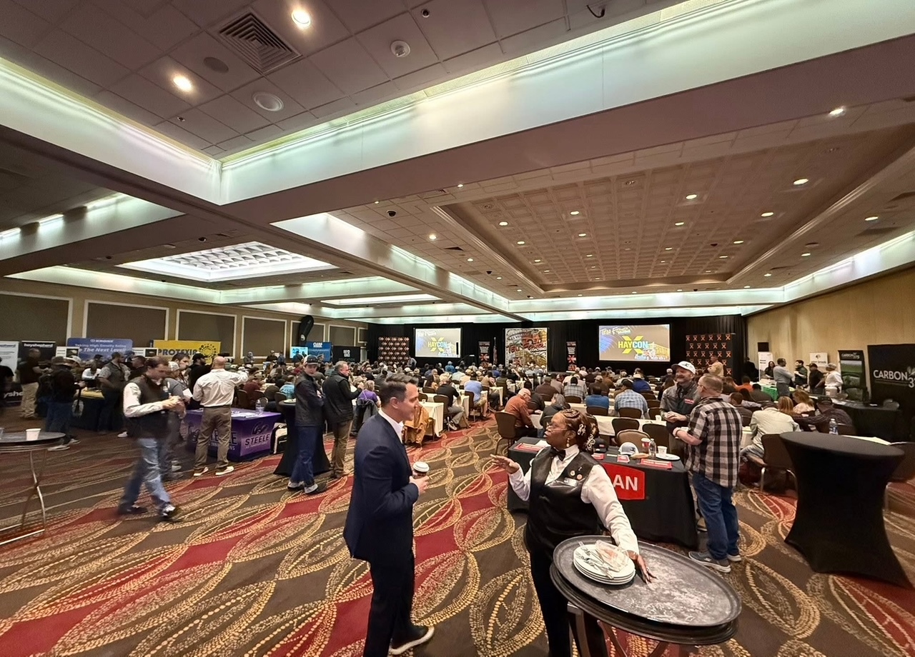 Main hall networking