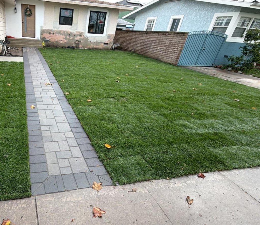 Front Yard Landscaping