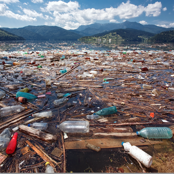 Pollution