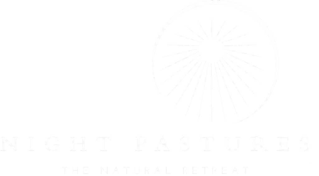 Night Pastures