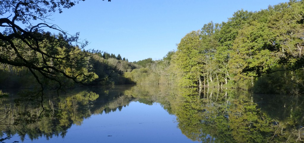 Stunning Sussex countryside with tranquil river