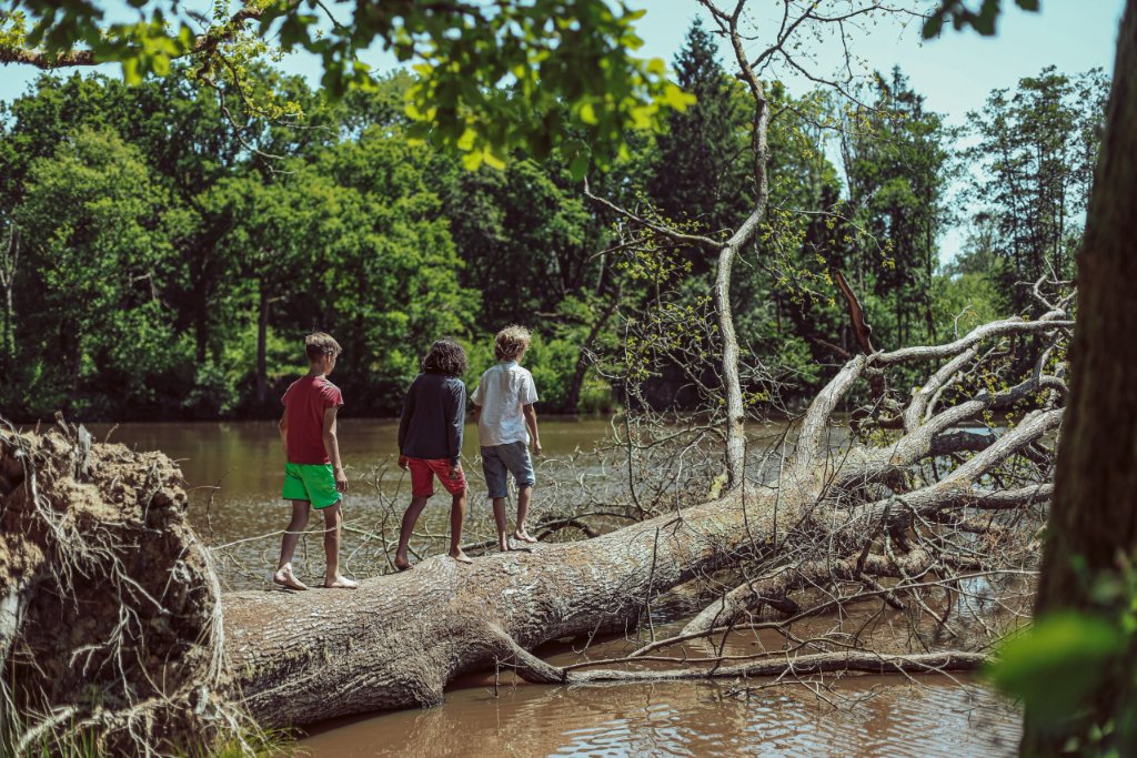 Children celebrating nature on a fallen tree