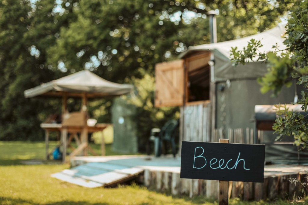 Beech Yurt