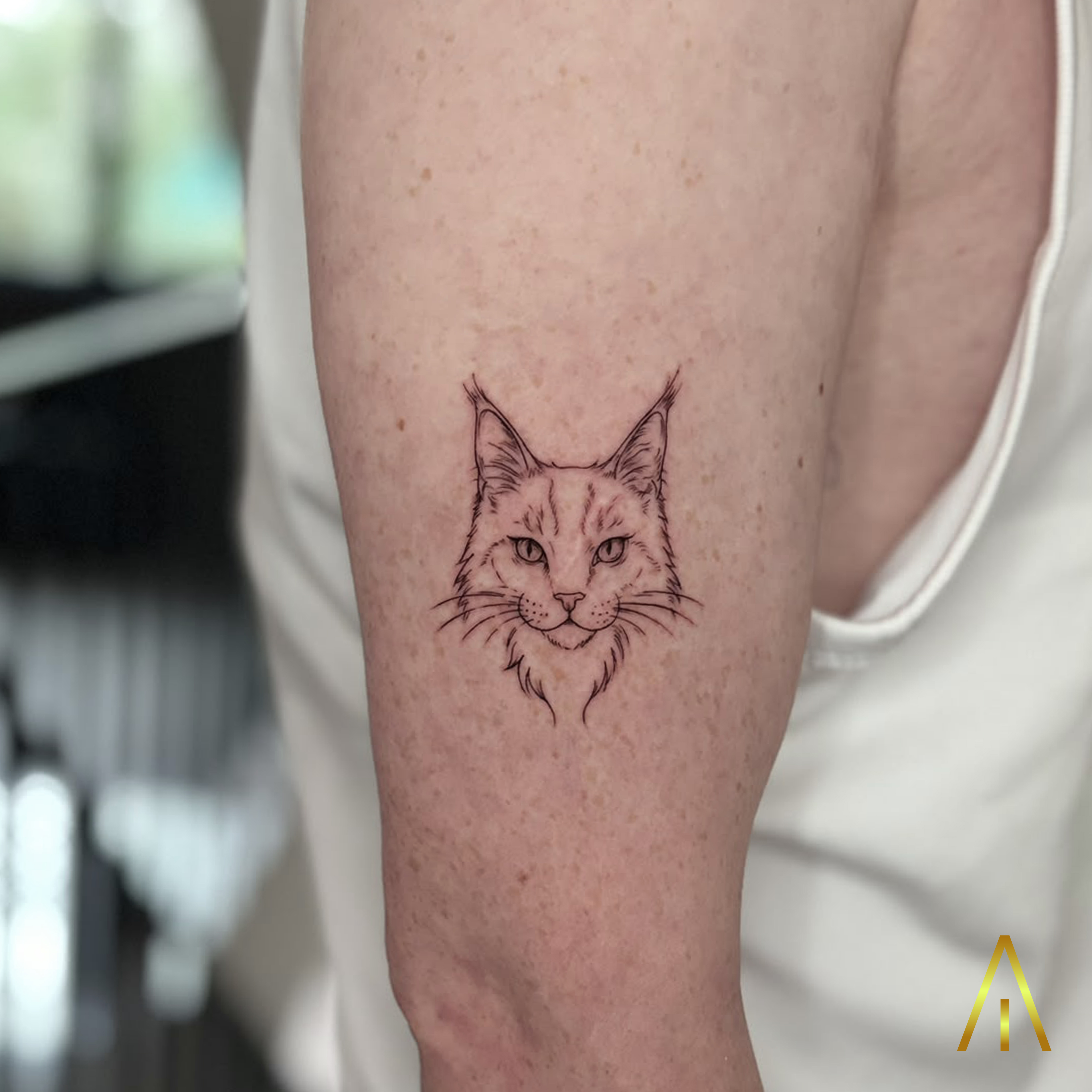 Mimi minimal Maine Coon cat upper arm tattoo Chiang Mai
