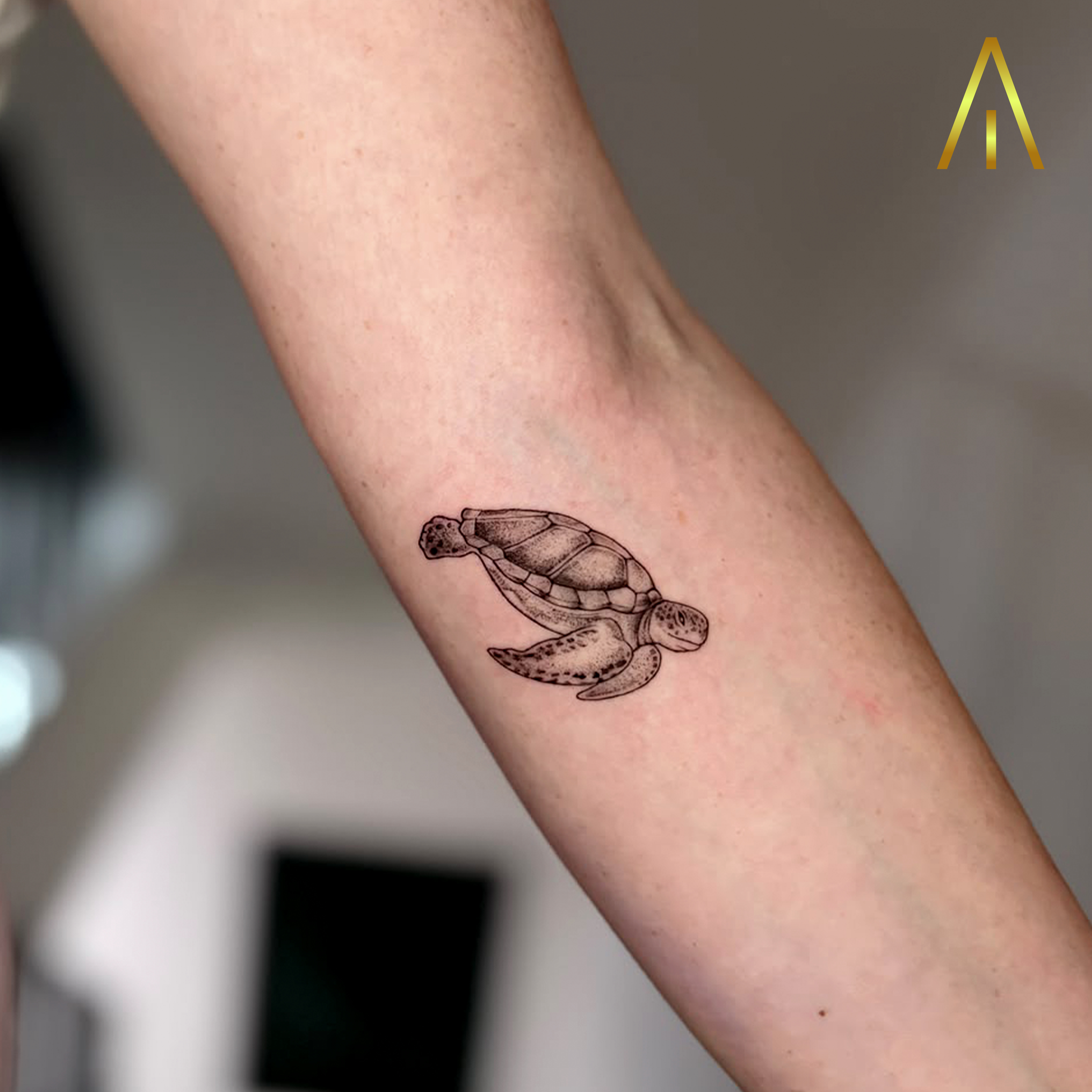 Minimal turtle fine line forearm tattoo Chiang Mai
