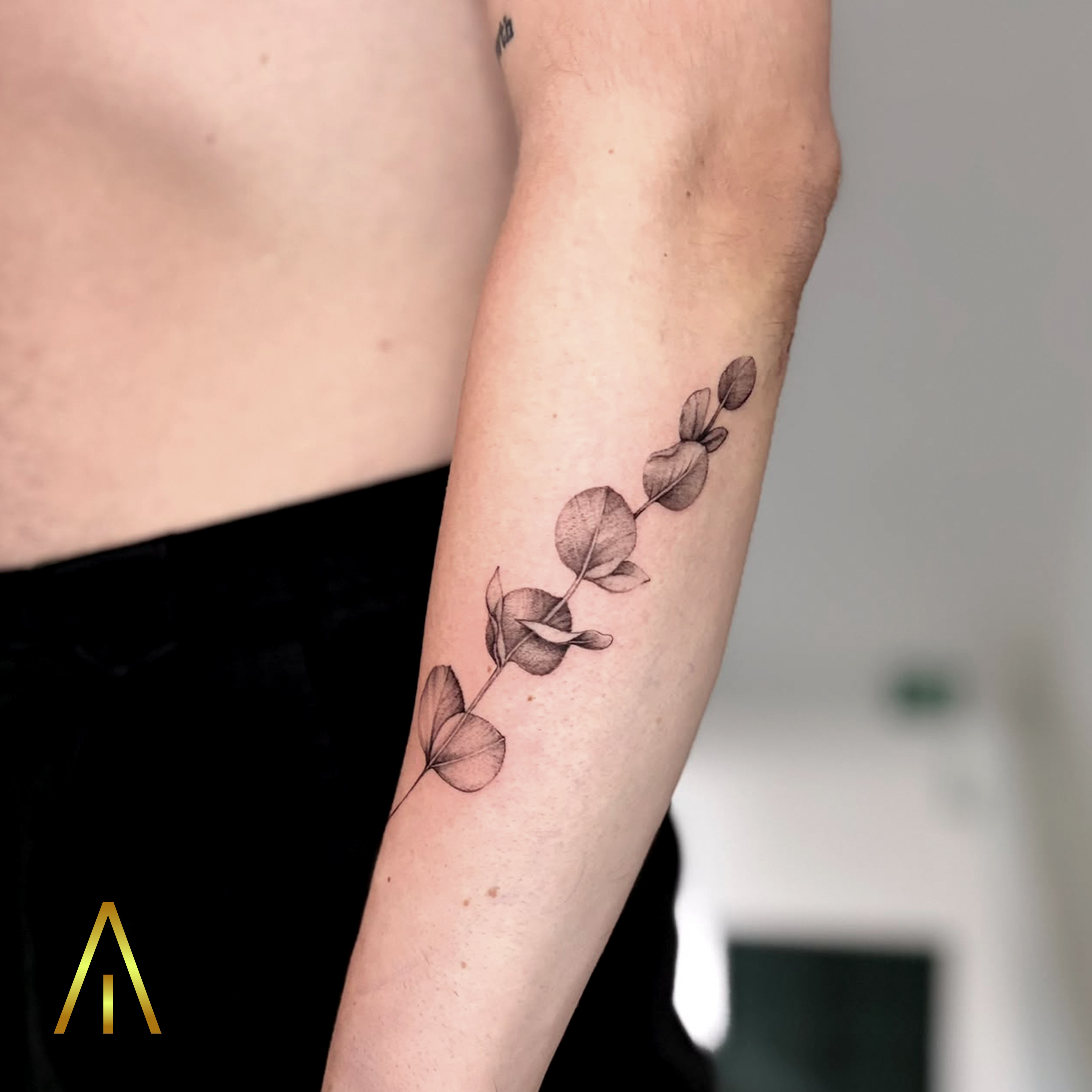 Minimal eucalyptus sprig fine line forearm tattoo Chiang Mai