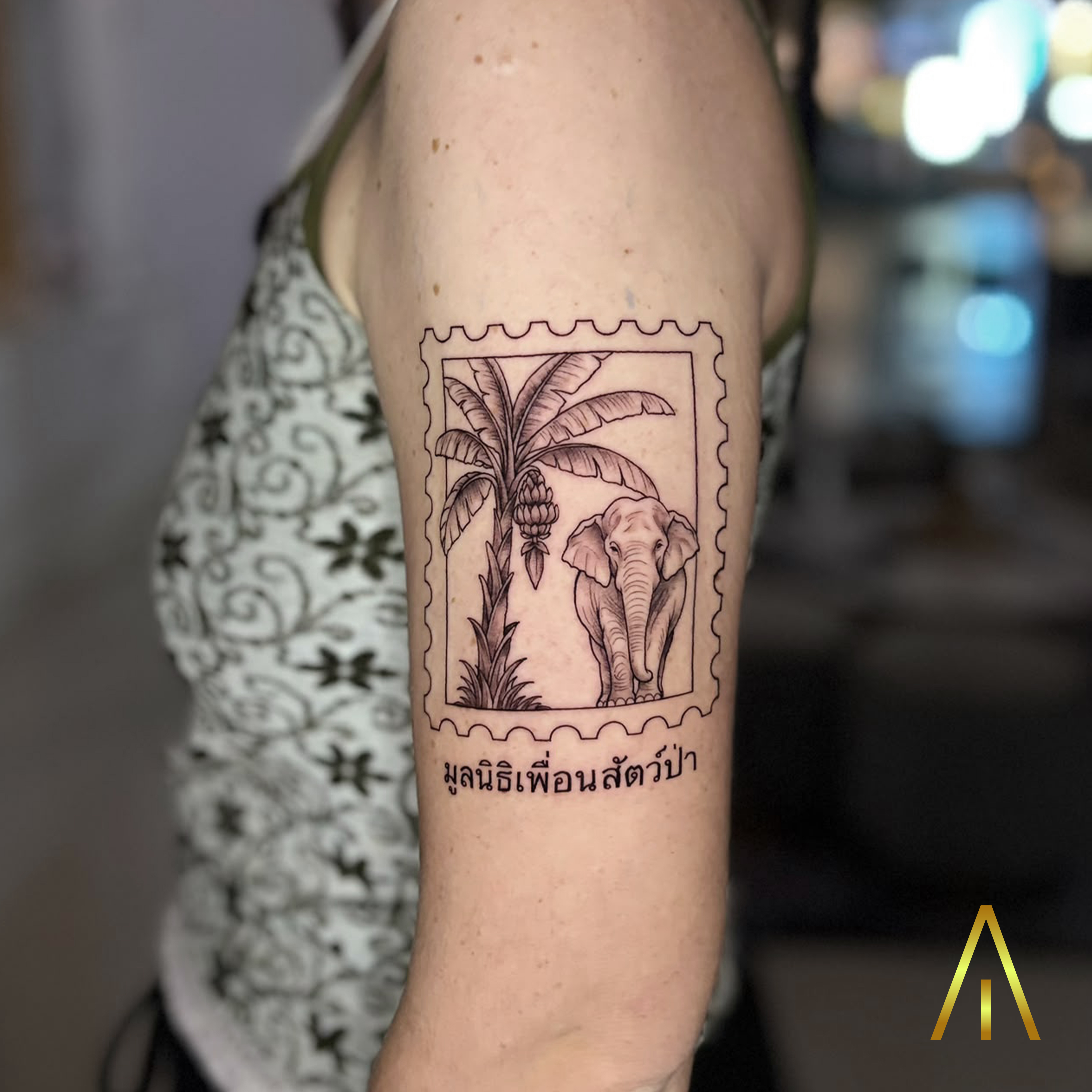 Katie elephant banana tree postage stamp fine line upper arm tattoo Chiang Mai