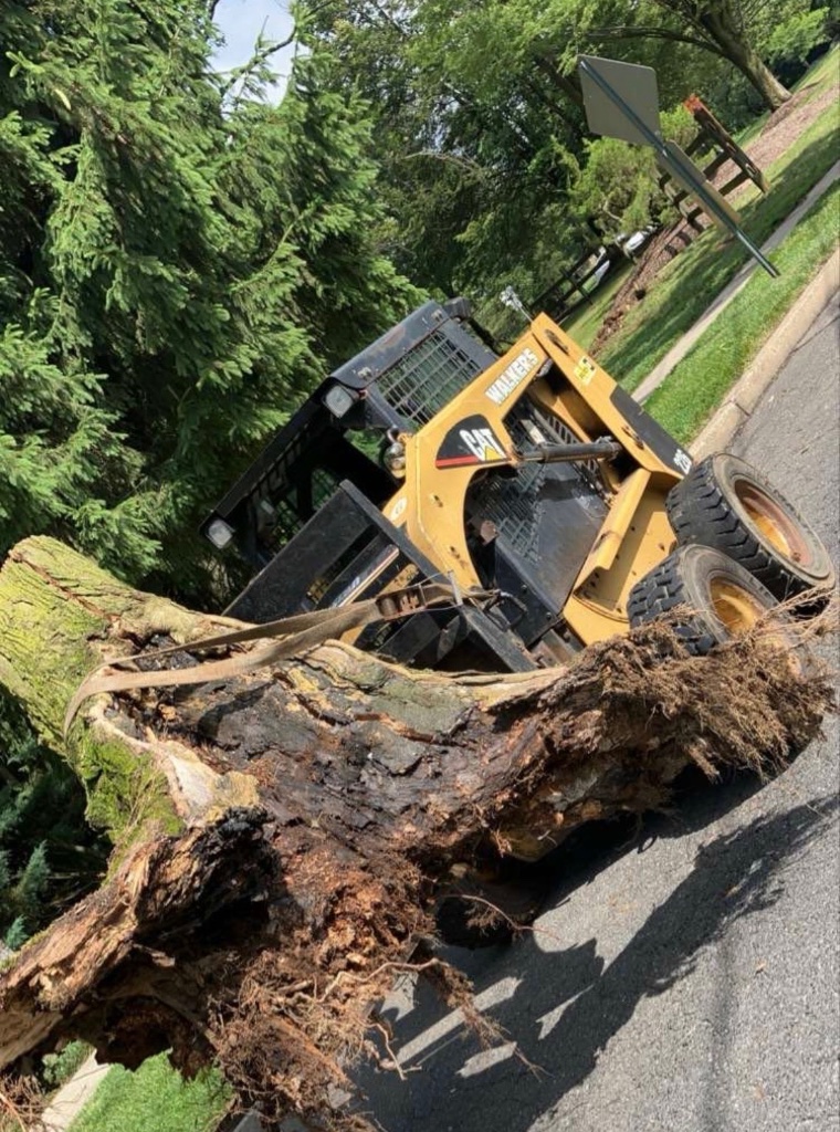 Heavy Equipment Tree Removal