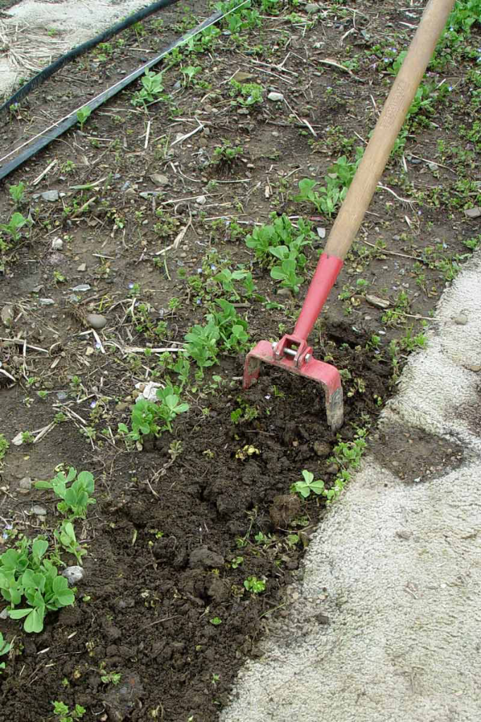 Landscape Bed Weeding