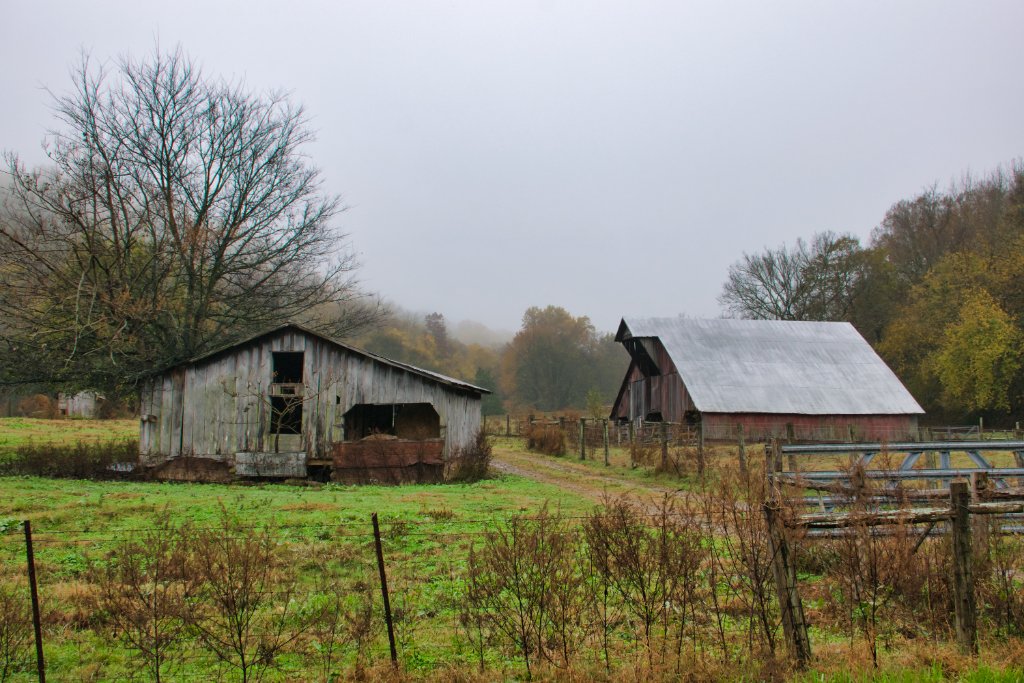 Foggy Barn