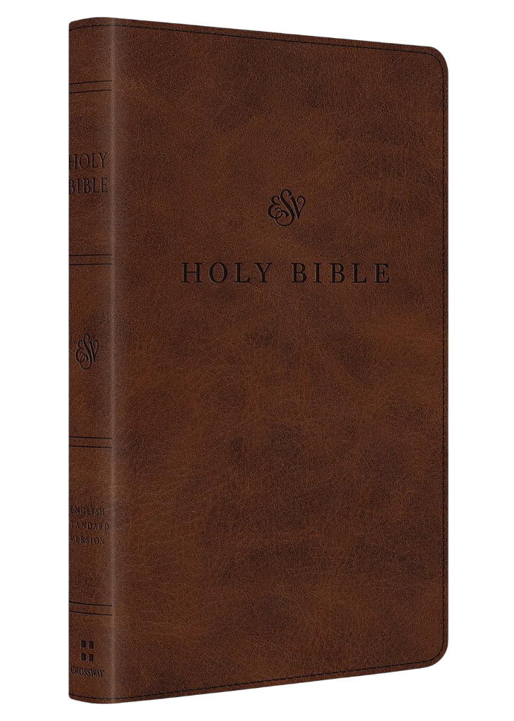 Bible Sainte