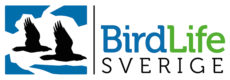 Logotyp