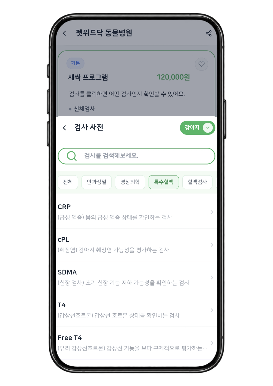 검사 사전