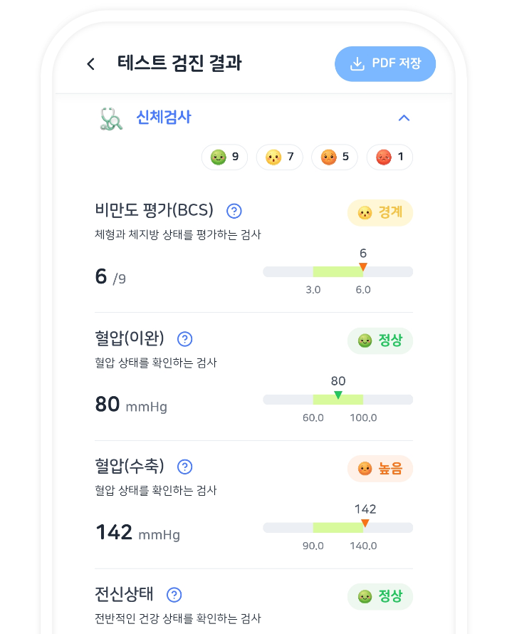 검진 결과 화면