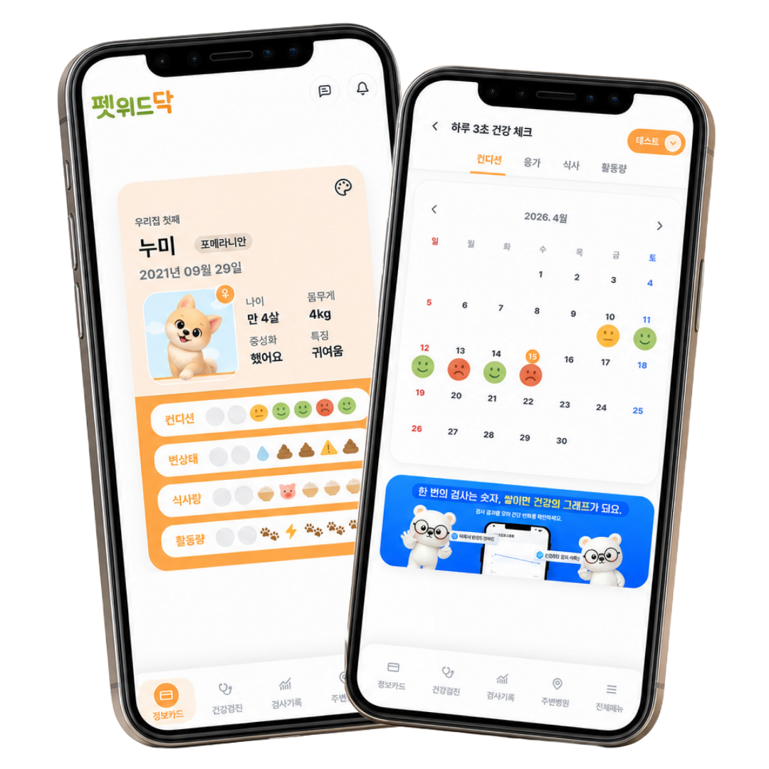 3초 건강일기
