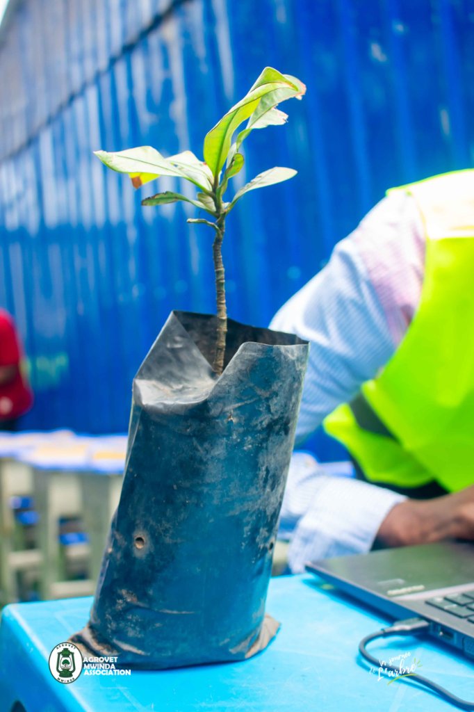 Journée de la Plante