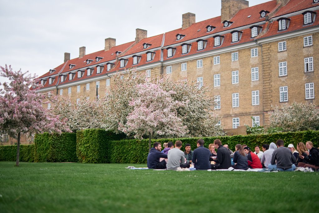 Community gathering in Kongens Have, Copenhagen