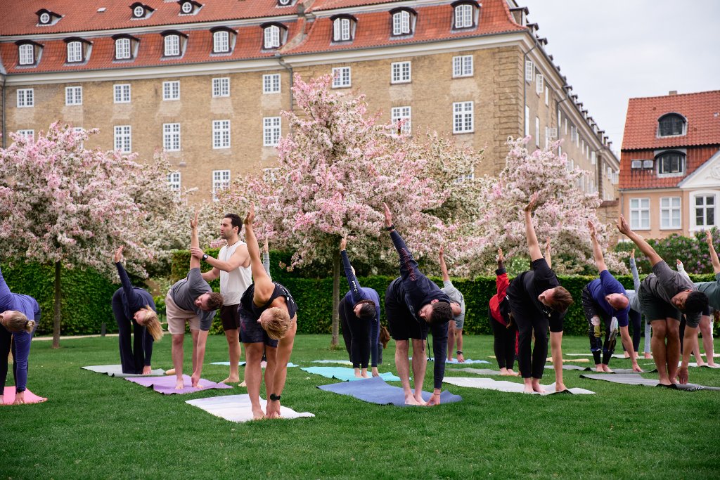 Yoga group class in Kongens Have, Copenhagen