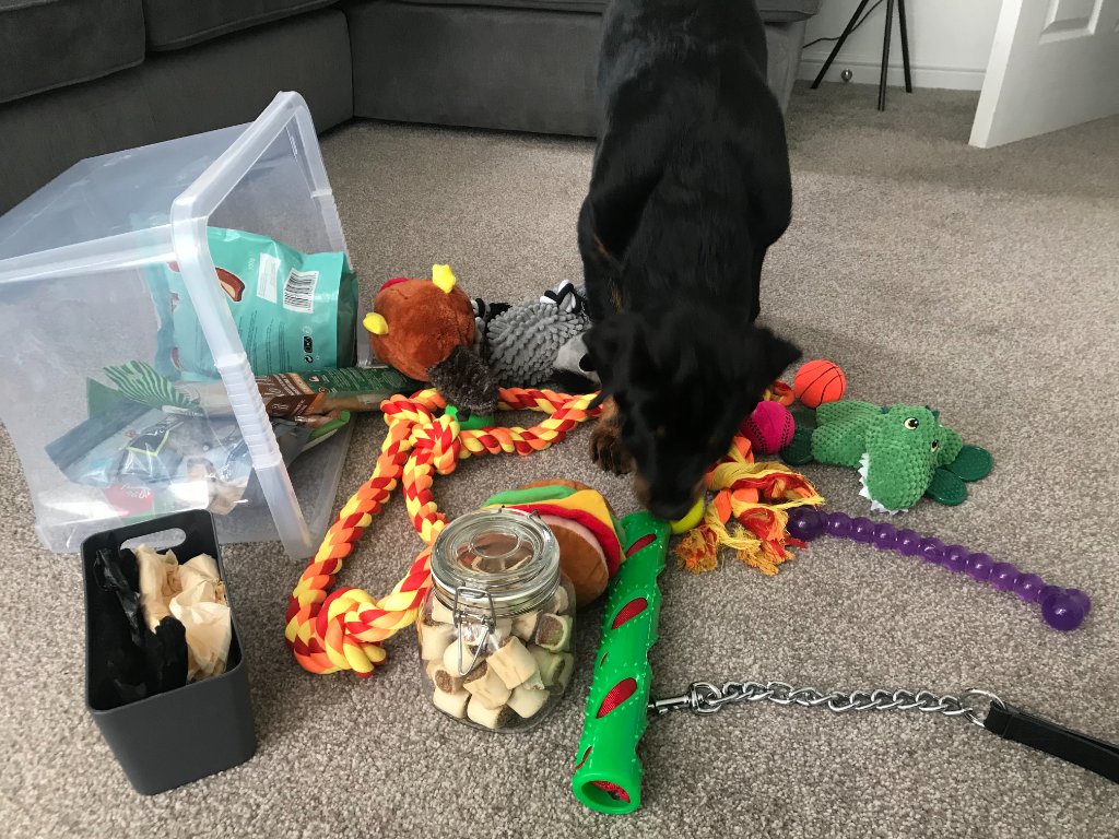 Better Than Kennels