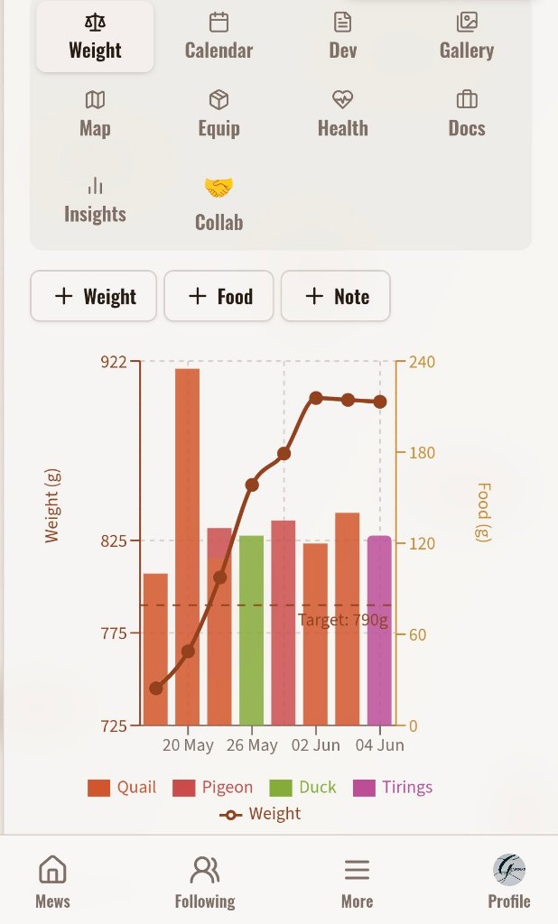 Analytics