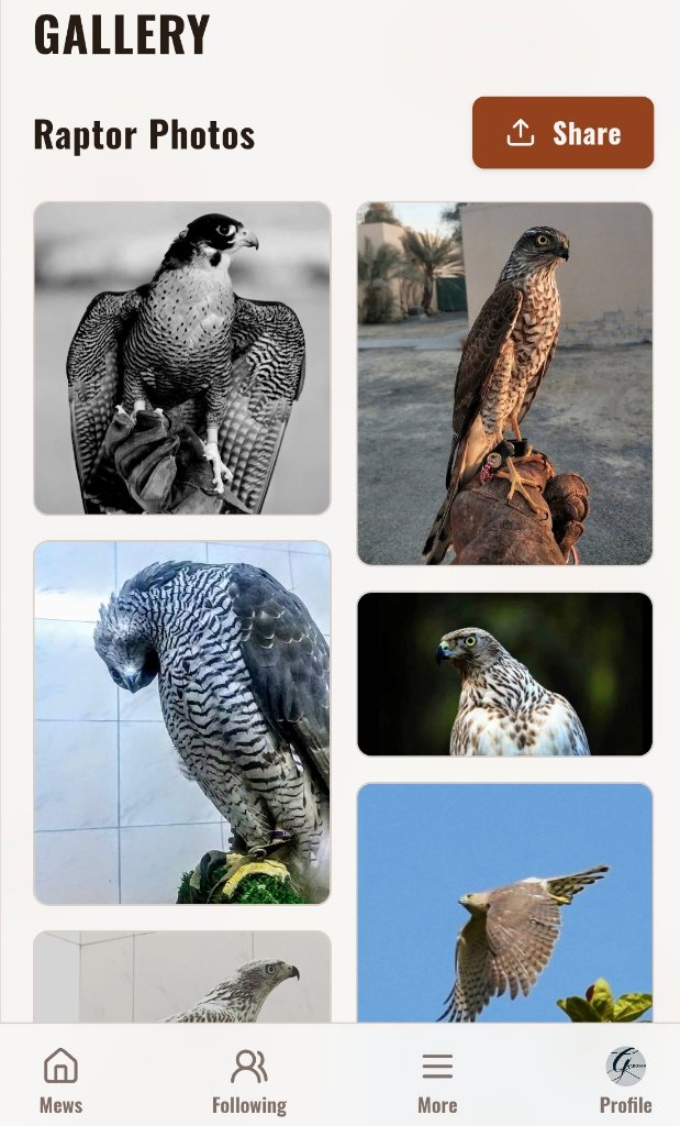 Raptor Gallery