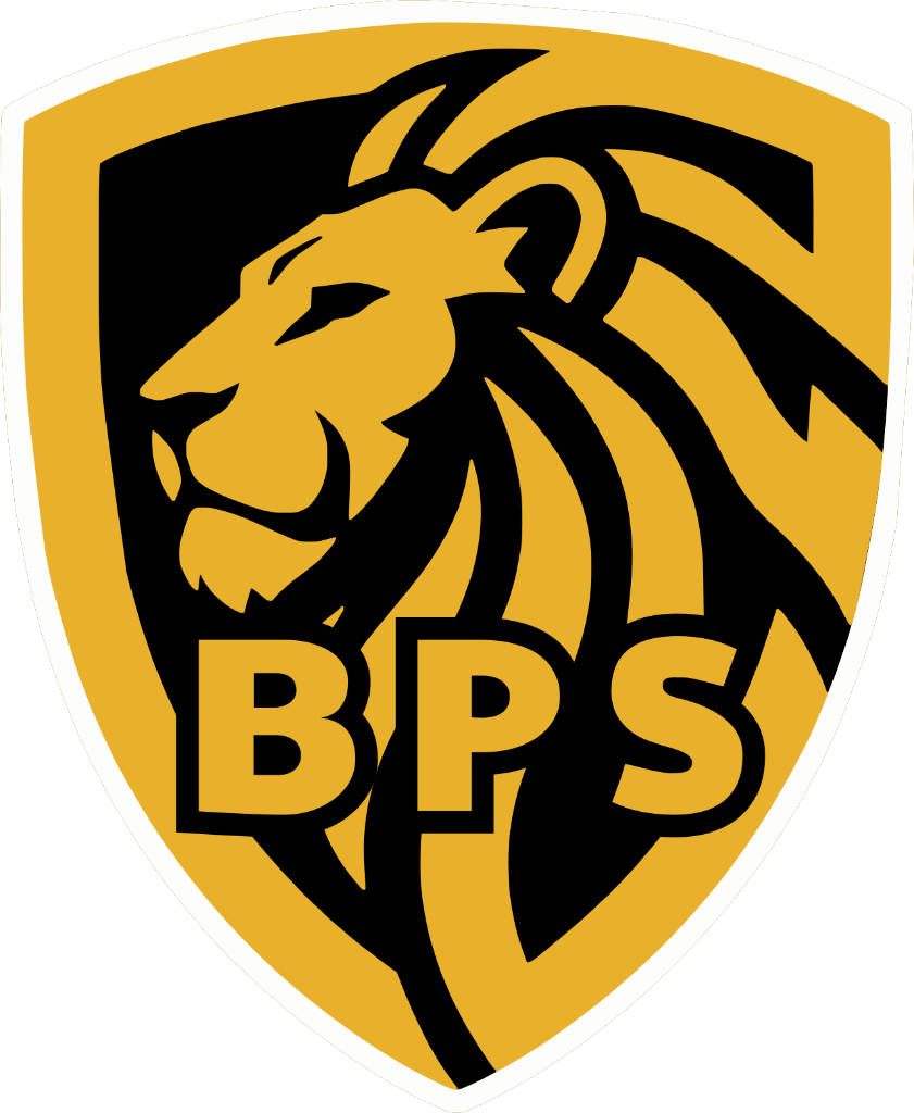 Bravo Process Servers Logo
