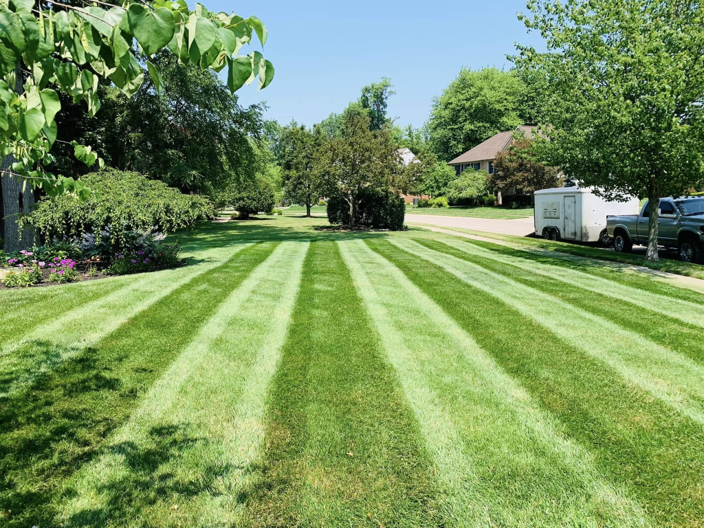 Professional Lawn Care