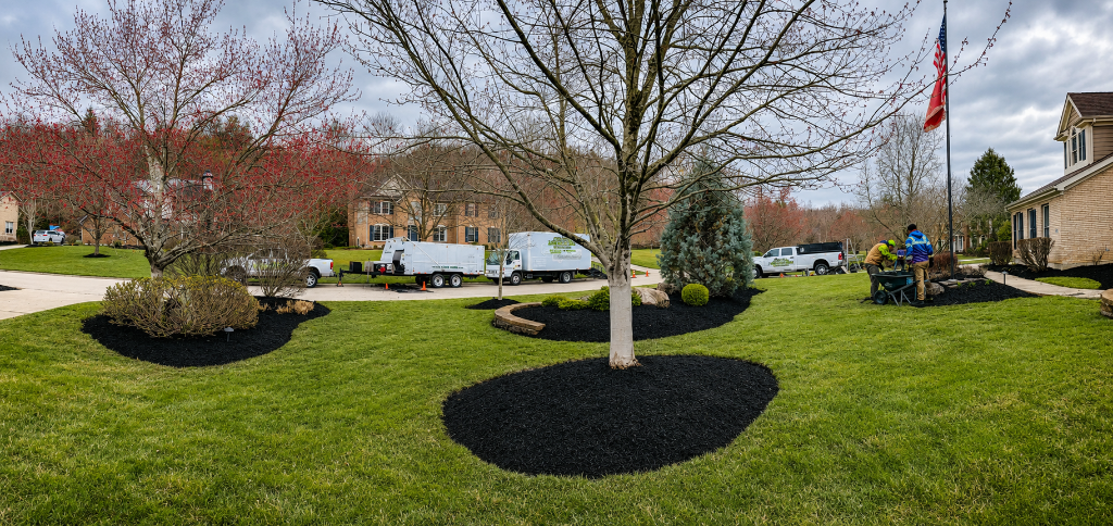 HOA Common Area Management