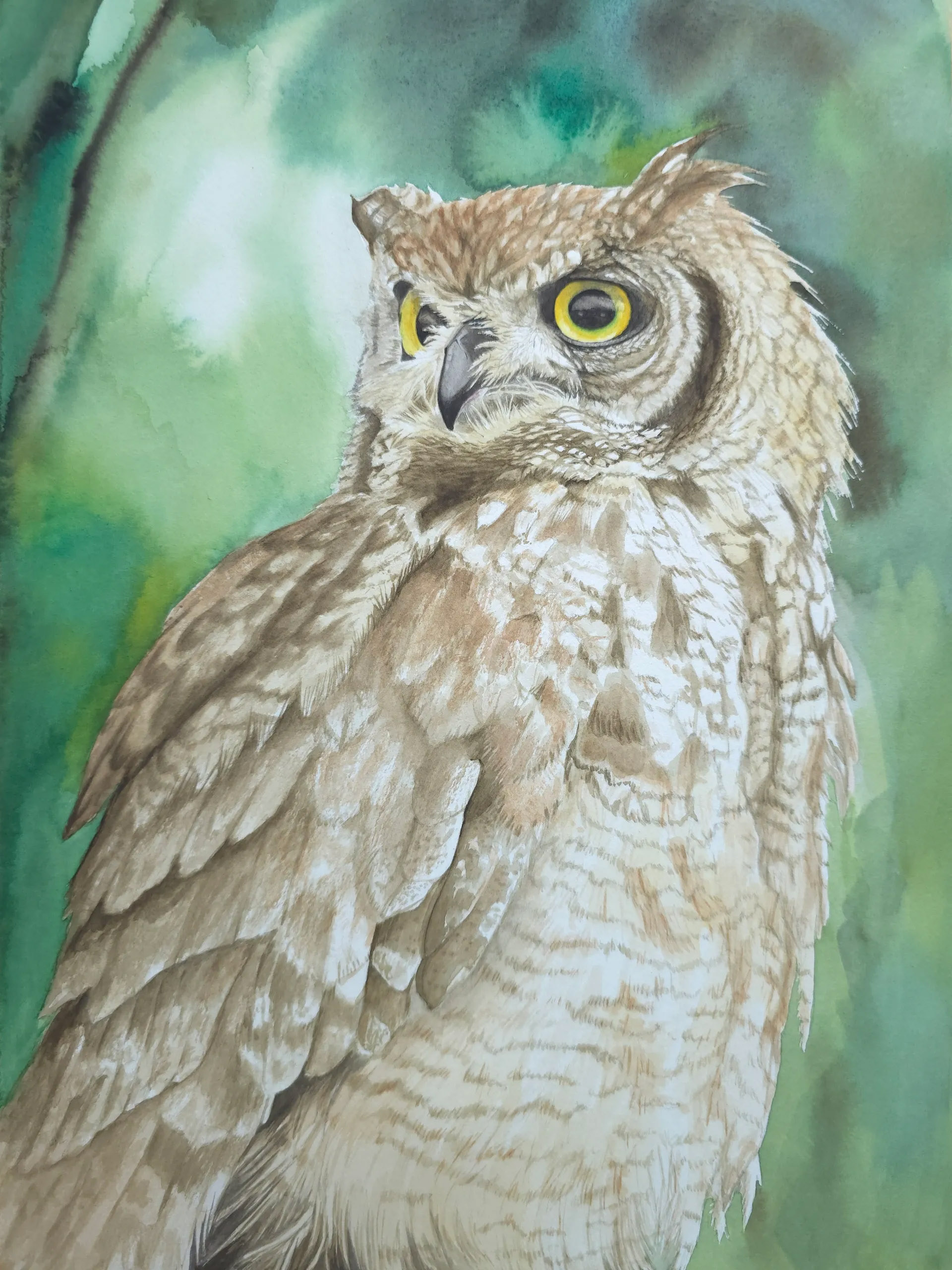 Owl