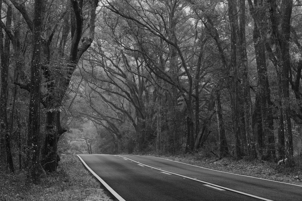 Southeast 95th Street, Marion County