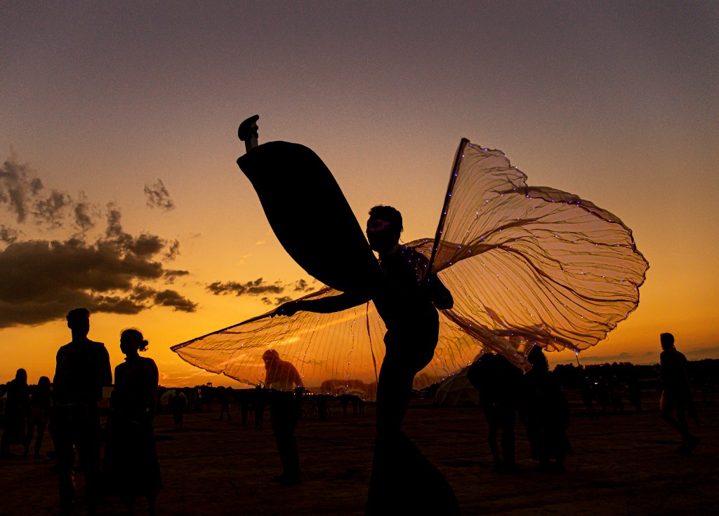 Fly Away