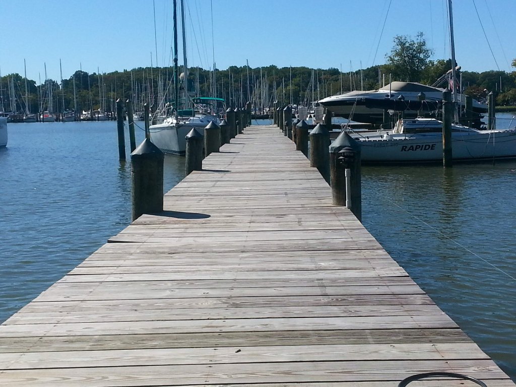 Marina — Full Dock View with Power Pedestals