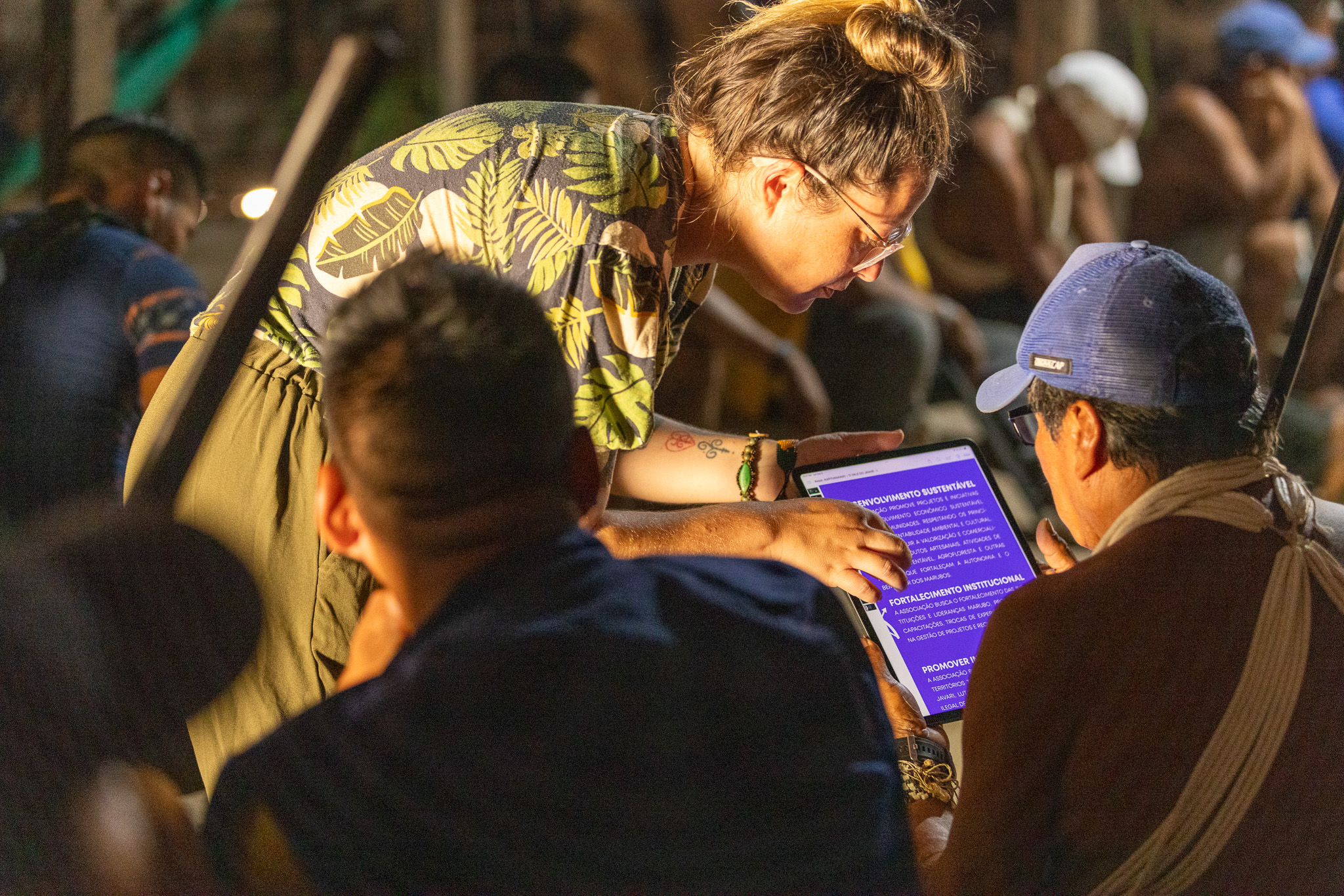 Sustainable development and institutional strengthening read together, in the light of a screen.