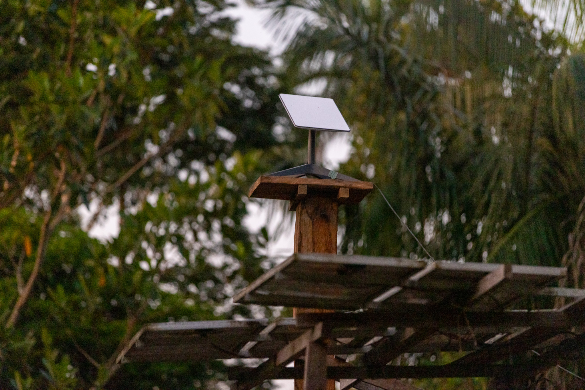 Starlink satellite dish installed on a wooden post in the Amazon