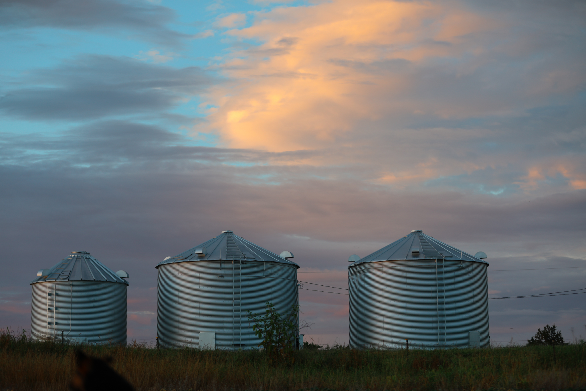 Three grain bins standing in a field at dusk