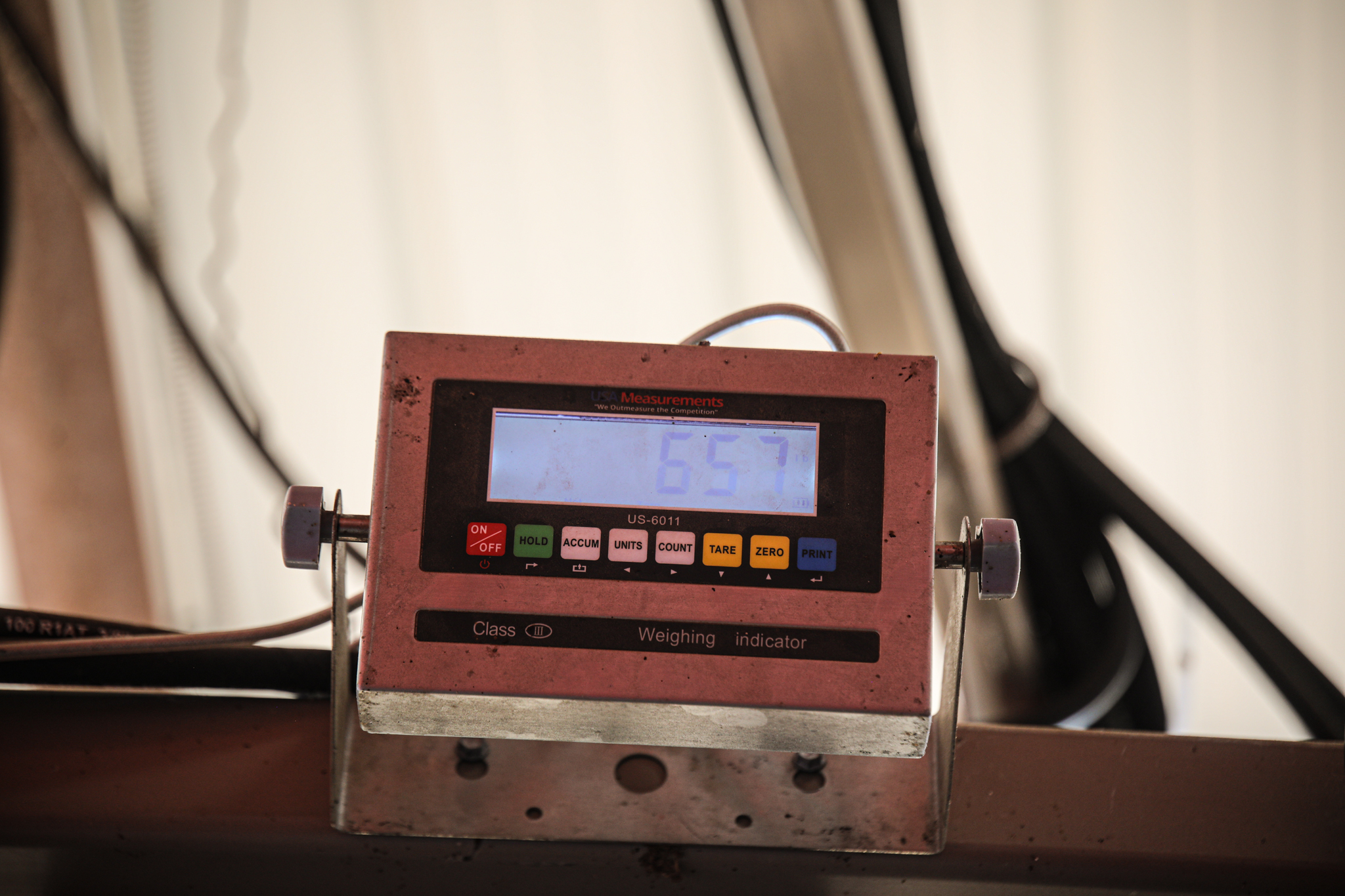 Digital weighing indicator for livestock