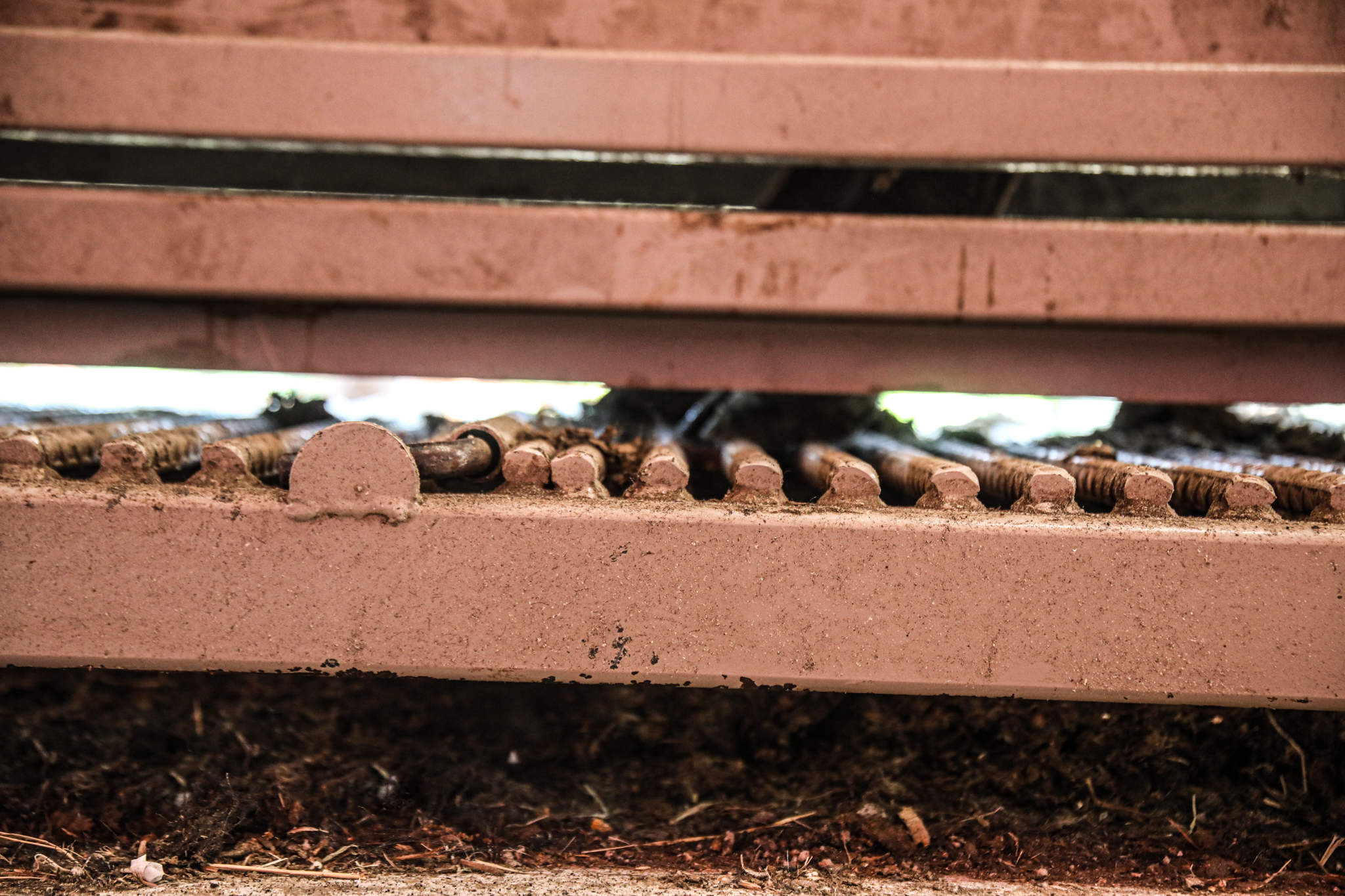 Floor grate of a cattle chute