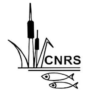 CNRS