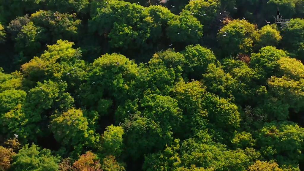 NRM Portfolio AV — Natural Resource Management & Biodiversity Conservation
