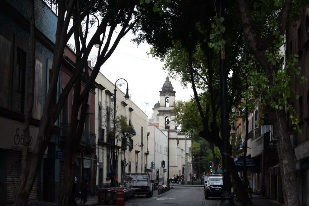 Purple Season: Two Days Lost in Mexico City