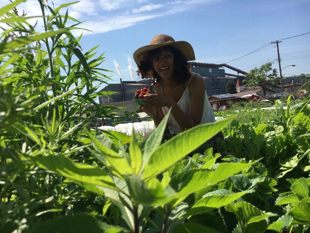 Hands in soil — the origin of strong hands