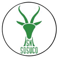 Sosuco sucre granulé blond 50kg