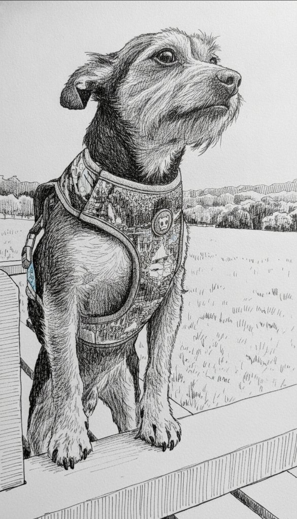 Ink sketch of terrier on staircase
