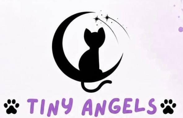 Tiny Angels