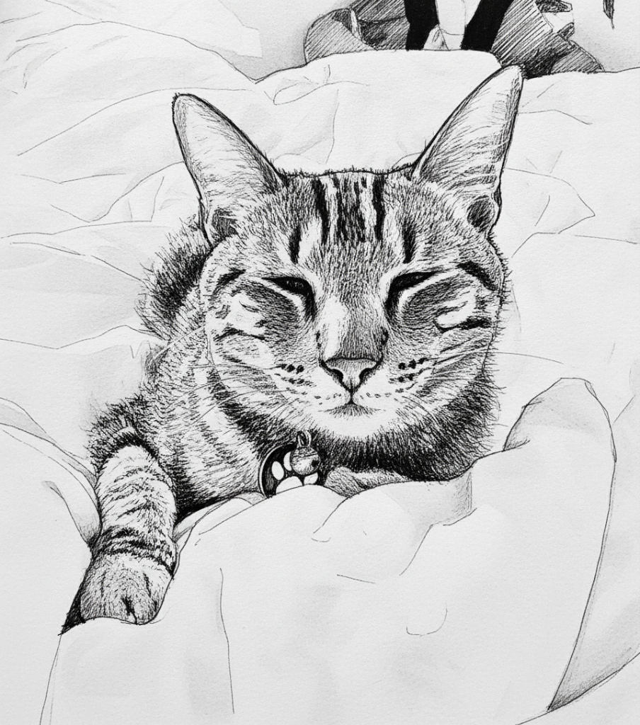 Ink sketch of tabby cat