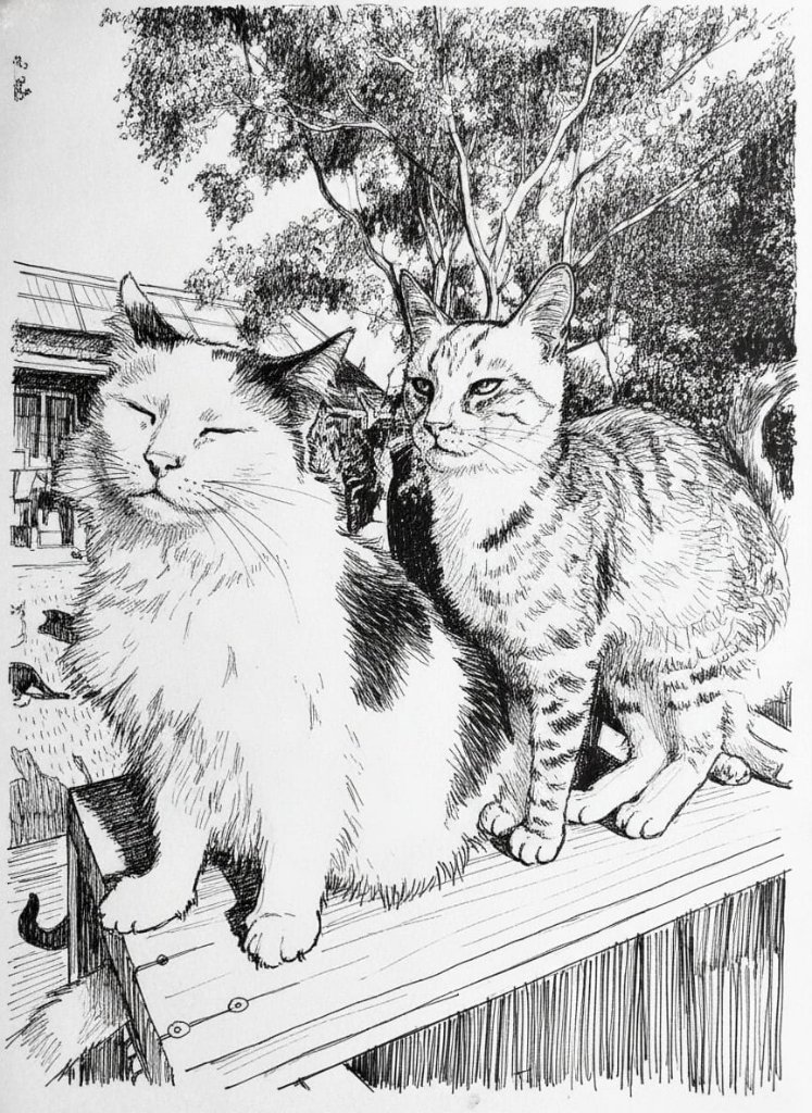 Ink illustration of two cats